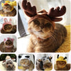 Clothing for cats - cat costume 7 design New arrival Fashion lovely pet hats dog hat cat hat cap funny hats for dogs