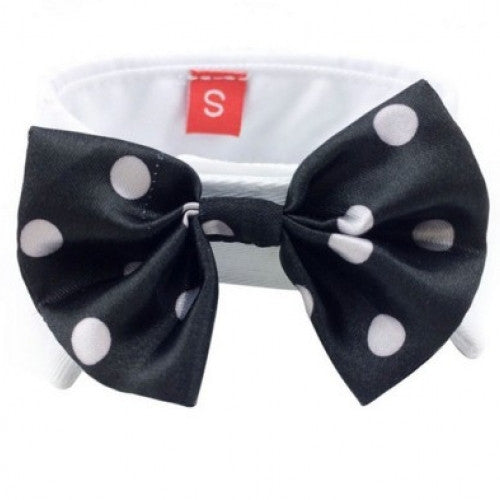 Fashion Lovely Dog Puppy Cat Kitten Pet Toy Bow Tie